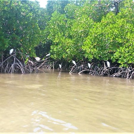 Mida Creek Nature Camp Watamu Luaran gambar