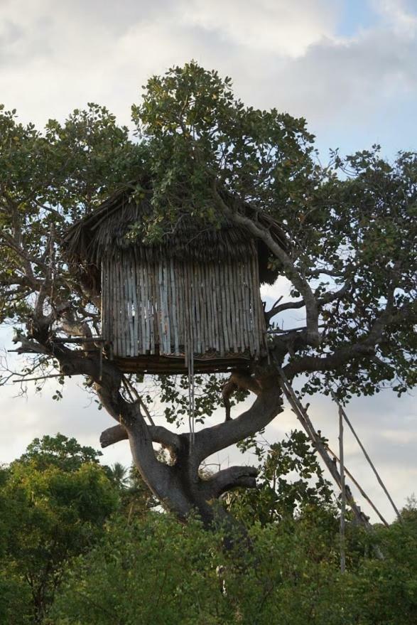 Mida Creek Nature Camp Watamu Luaran gambar