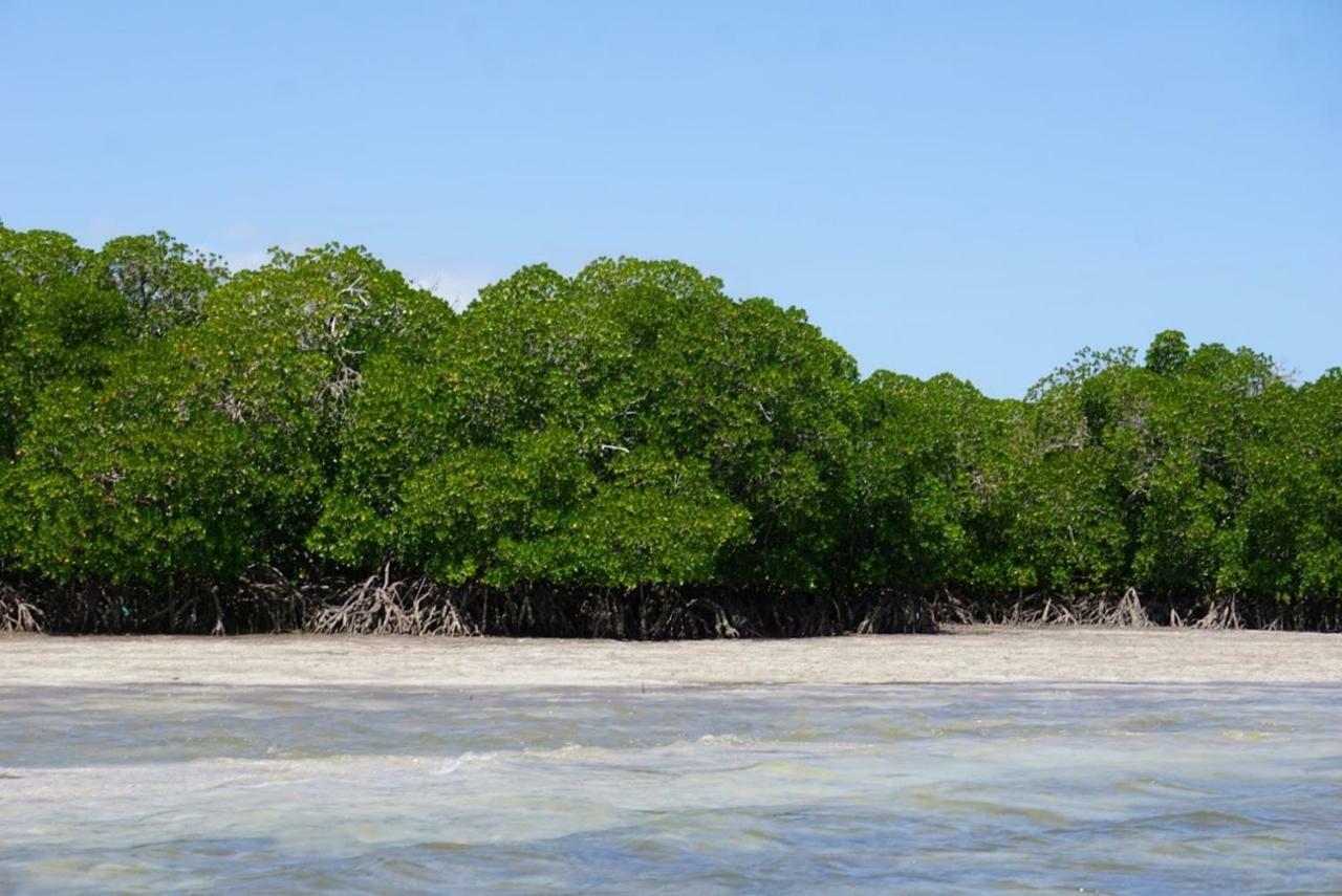 Mida Creek Nature Camp Watamu Luaran gambar