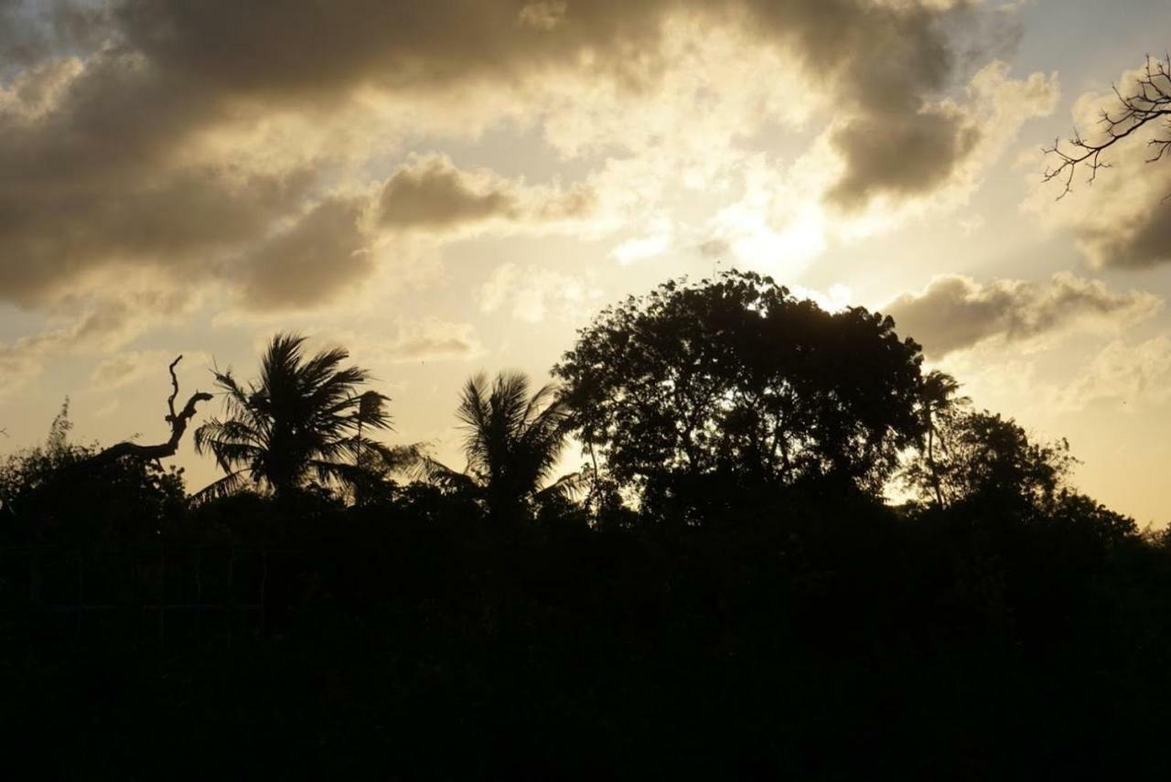 Mida Creek Nature Camp Watamu Luaran gambar