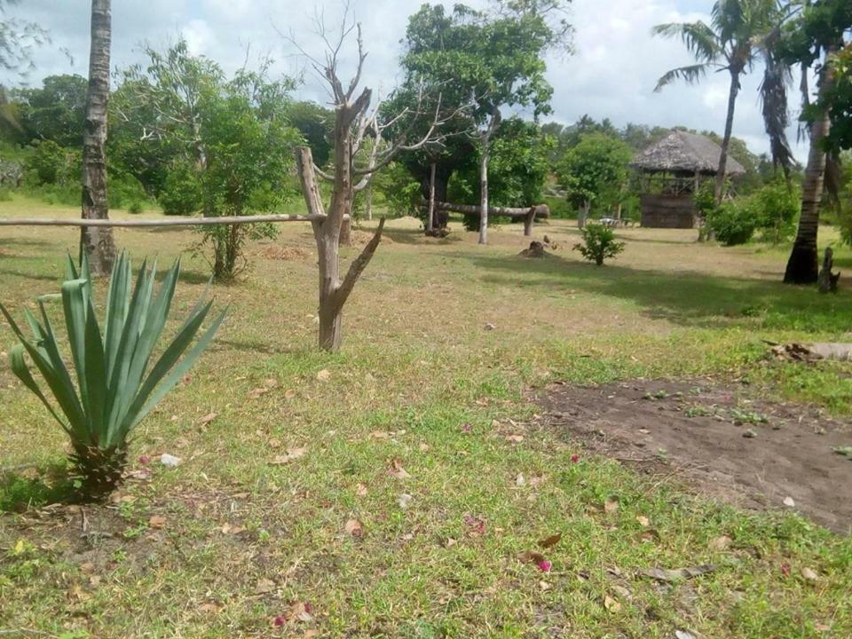 Mida Creek Nature Camp Watamu Luaran gambar