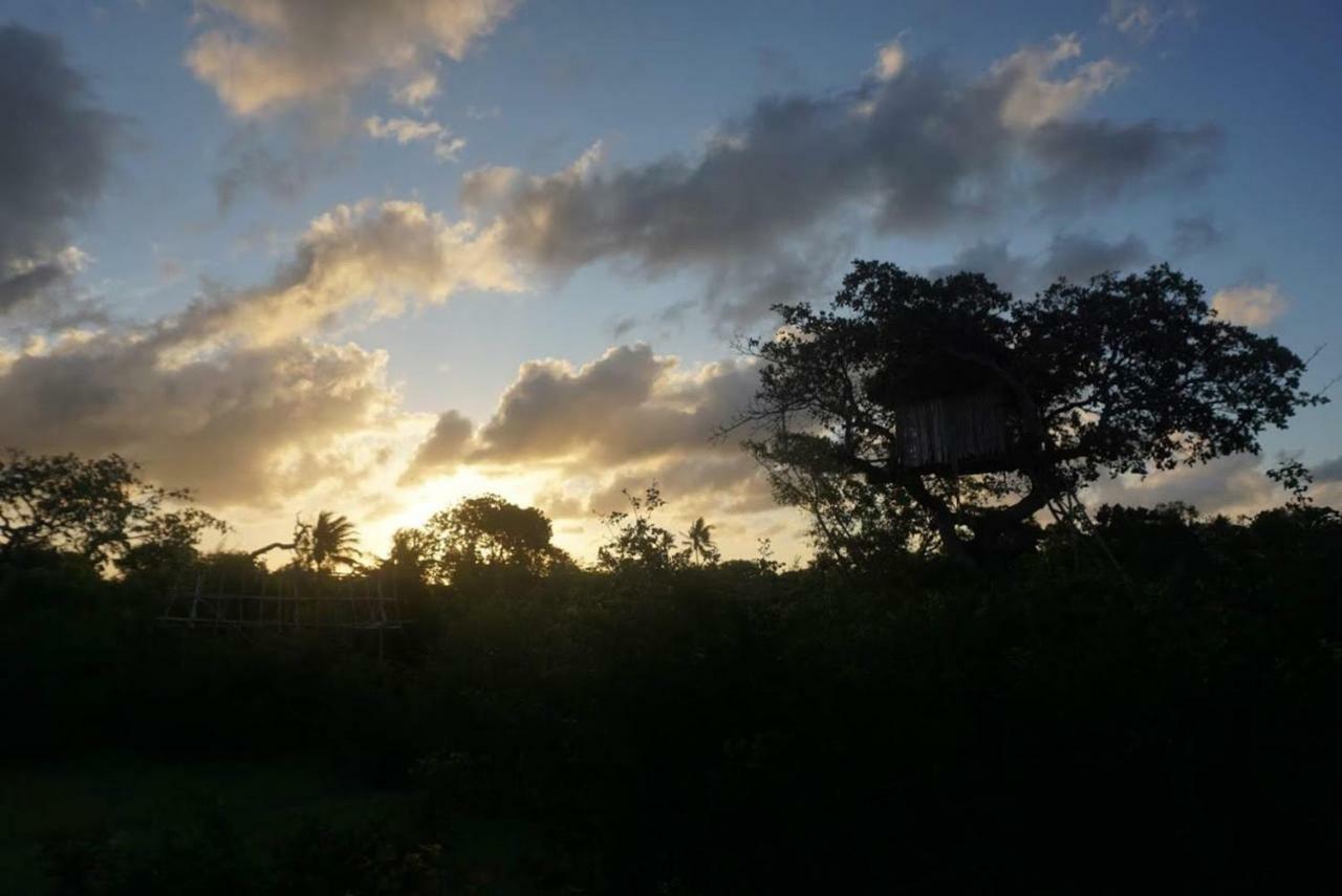 Mida Creek Nature Camp Watamu Luaran gambar