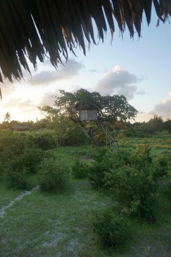 Mida Creek Nature Camp Watamu Luaran gambar