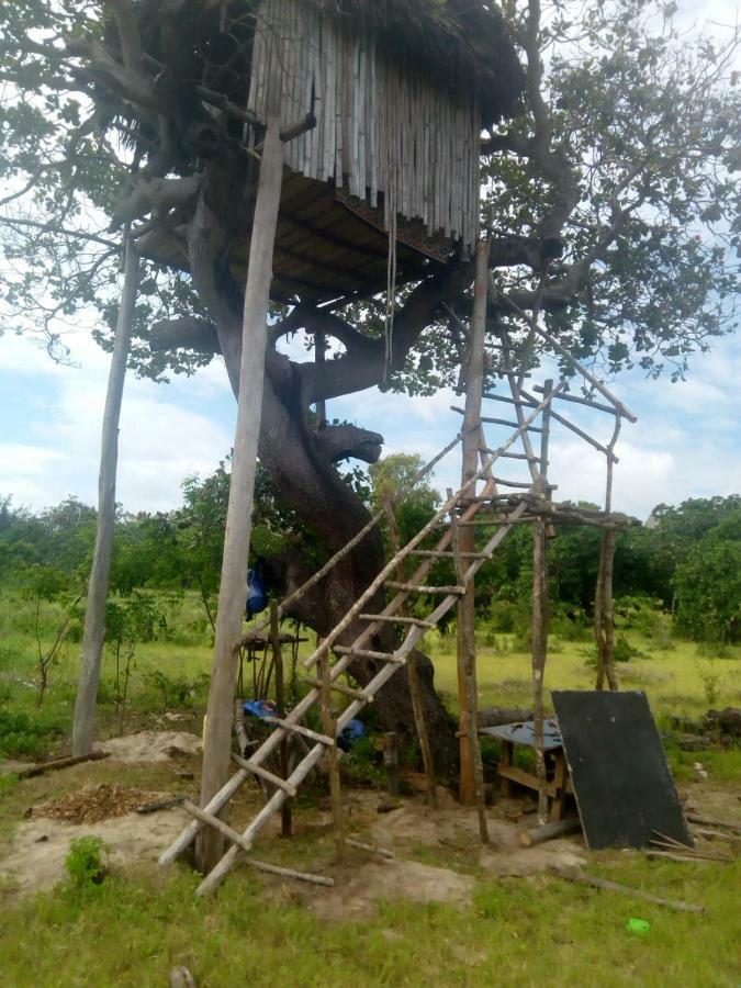 Mida Creek Nature Camp Watamu Luaran gambar