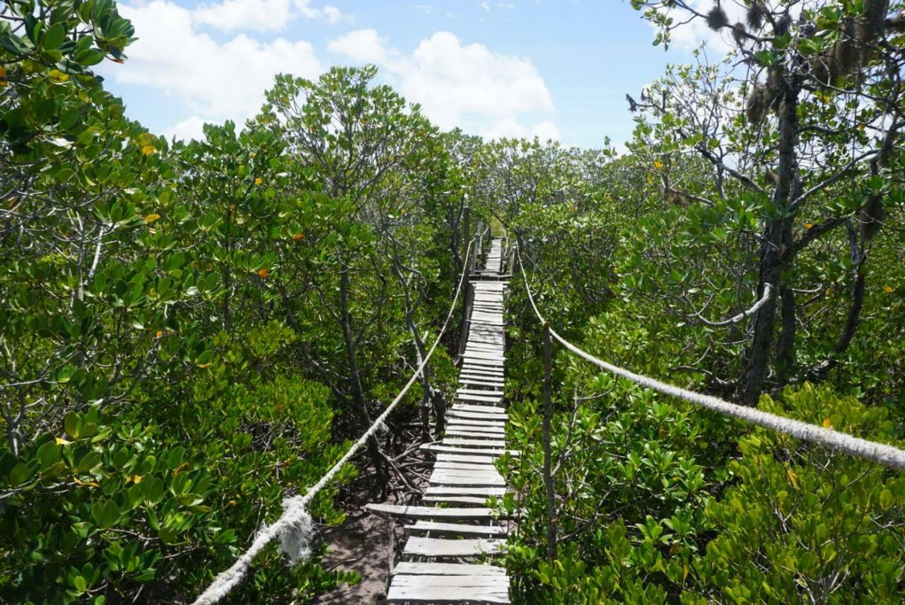 Mida Creek Nature Camp Watamu Luaran gambar