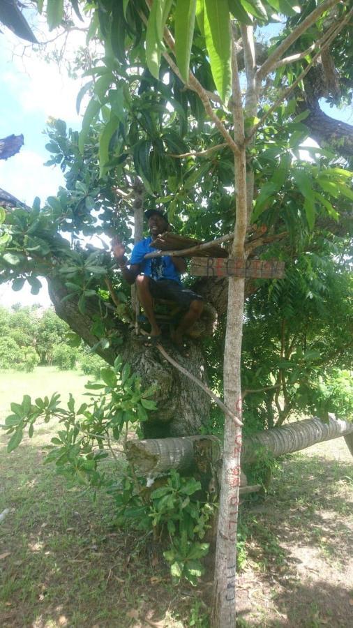 Mida Creek Nature Camp Watamu Luaran gambar