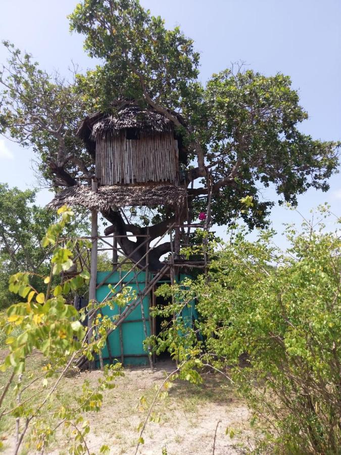 Mida Creek Nature Camp Watamu Luaran gambar